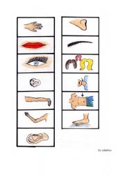 English worksheet: Body Memory 1 - pics