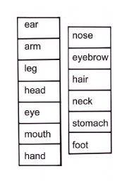 English Worksheet: Body Memory 2 - words