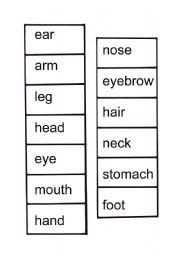 English worksheet: Body Memory 2 - words