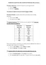English worksheet: Possessive Adjective. Possessive Pronoun