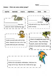 English worksheet: What are some animal groups?