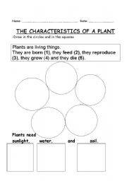 English worksheet: CHARACTERISTICS OF A PLANT