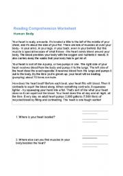 English Worksheet: reading comprehension about the human body