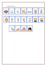 English worksheet: Parts of the body 2/2