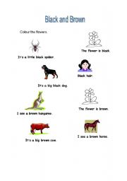 English worksheet: Review of the colours black and brown and simple sentence structure using easy vocabulary.