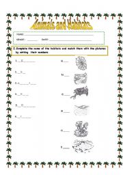 English Worksheet: animals and habitats