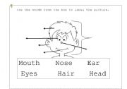 English Worksheet: Body parts I