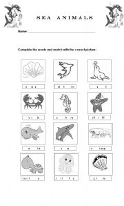 English Worksheet: Sea Animals