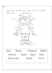 English Worksheet: Body parts II