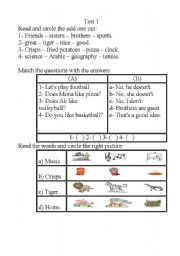 English worksheet: simple test