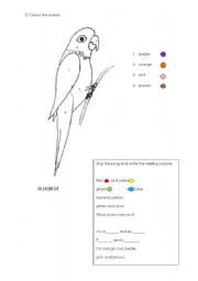 English Worksheet: a parrot