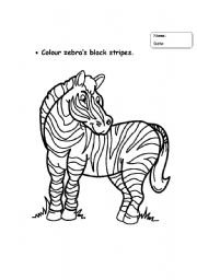 English worksheet: colour zebra black stripes