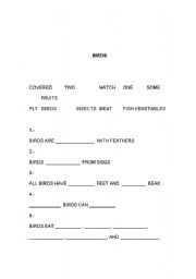 English Worksheet: Birds