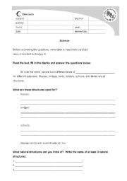 English Worksheet: Science Activity
