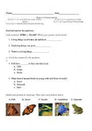 English Worksheet: All about Animals test