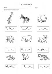 English Worksheet: Wild Animals