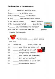 English worksheet: verb to have