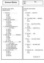 English Worksheet: grammar revision