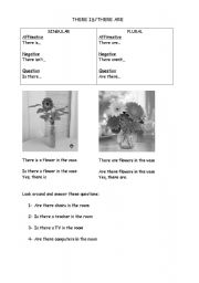 English worksheet: There is/There are