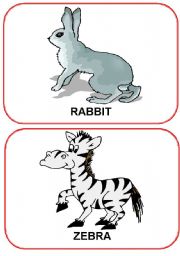 Animals Flashcards (12)