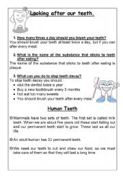 English Worksheet: Looking after our teeth