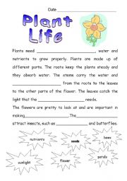 English Worksheet: Plant Life 