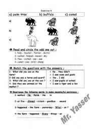 English worksheet: simple test 