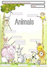English Worksheet: Animals, zoo