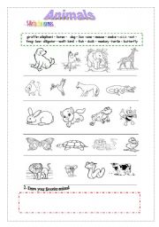 English Worksheet: Animals