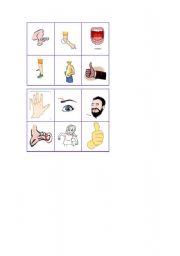 English Worksheet: Bingo parts of the body