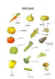 VEGETABLES