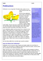 Plants- pollination comprehension activity