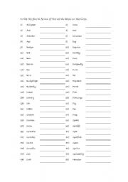 English worksheet: Singular Plural - Animals