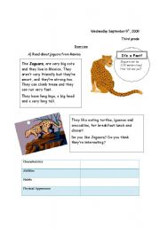English Worksheet: Jaguar