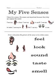 English Worksheet: My Five Senses 