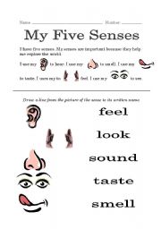 English worksheet: My Five Senses 