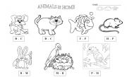 English Worksheet: animals - Pets