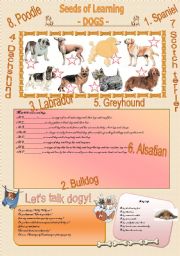 English Worksheet: SEEDS OF LEARNING - Dogs -