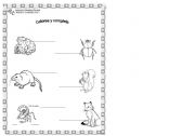 English worksheet: animals