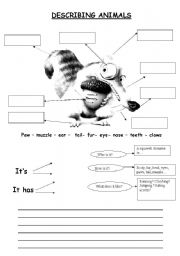 English Worksheet: describing animals