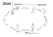 English Worksheet: Life Cycle of a person diagram