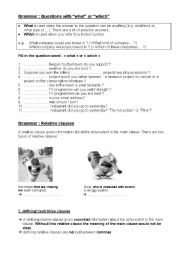 English Worksheet: relative clauses