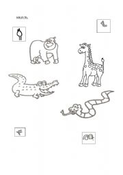 English worksheet: Animals match.