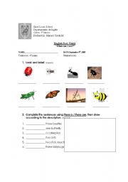 English worksheet: Insects, (test)