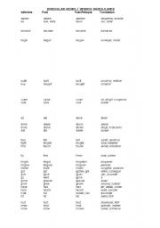 English worksheet: Irregular Verbs