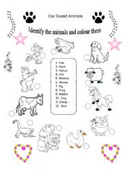 Match and Colour the Animals