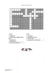 English worksheet: Hawk Crossword