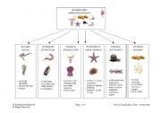 English worksheet: Invertebrate Classification Chart