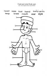 English Worksheet: body parts