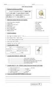 English Worksheet: Animal Descriptions Test